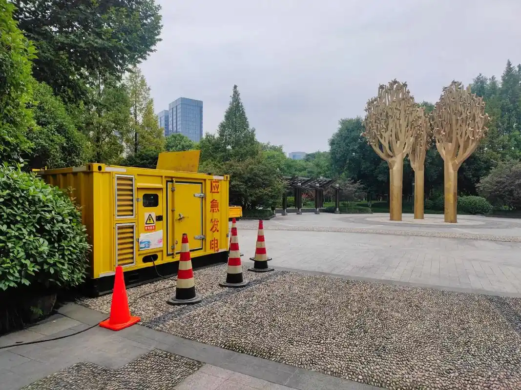 赛品租赁——聊城发电机租赁靠谱之选！